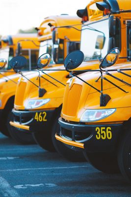 School Buses Lined Up